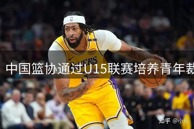 中国篮协通过U15联赛培养青年裁判队伍